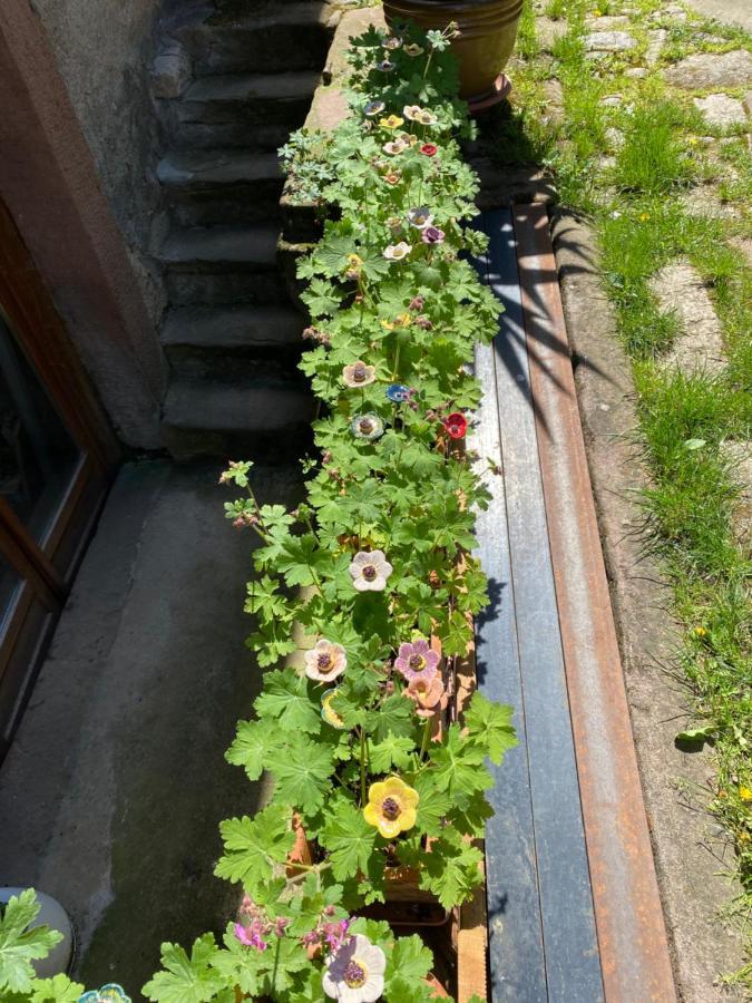 Le Cocon Du Potier Villa Dambach Exteriör bild